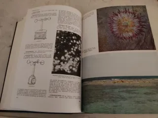 Enciclopedia general del mar