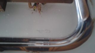 Vassoio Sambonet in acciaio e inserti rame argento