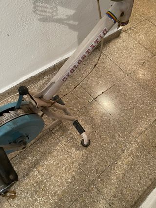 Bicicleta Estática Vintage