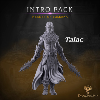 Pack Heroes de Valerna. Incluye 5 miniaturas!