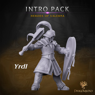 Pack Heroes de Valerna. Incluye 5 miniaturas!