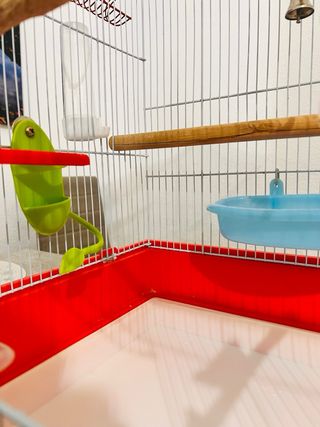 Jaula grande para pájaros completa