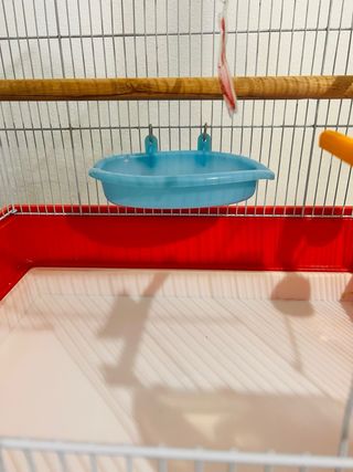 Jaula grande para pájaros completa