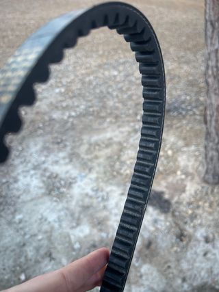 Correa Malossi (larga)