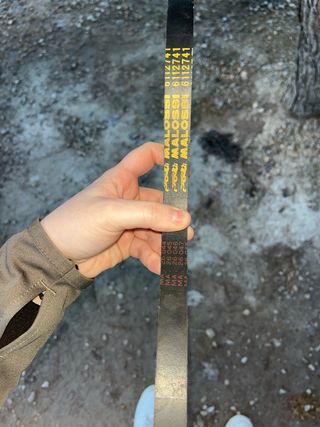 Correa Malossi (larga)