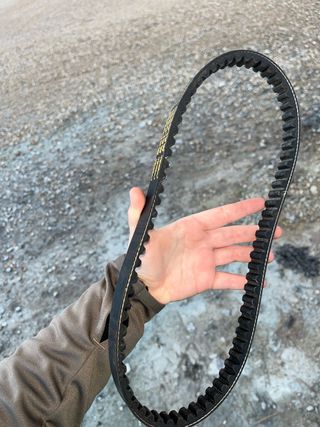 Correa Malossi (larga)