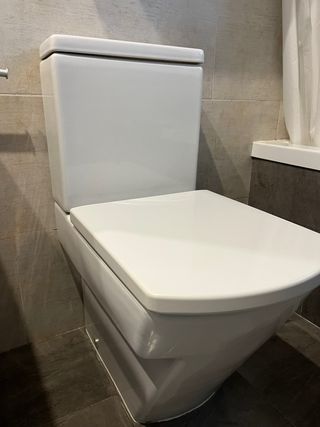Inodoro Roca Blanco