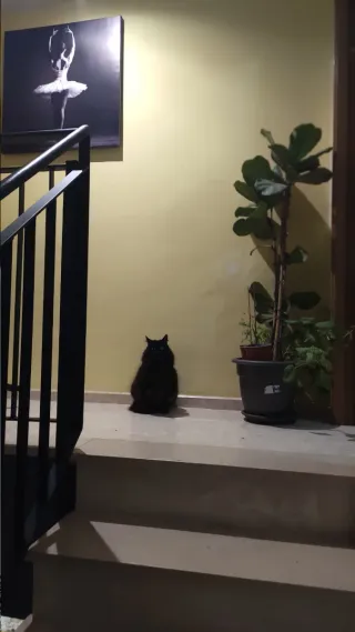 Dúplex de 124m2 en Benetusser