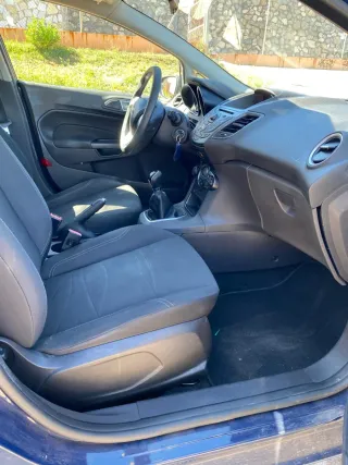 Ford Fiesta 1.0 ecoboost 100cv muy cuidado!