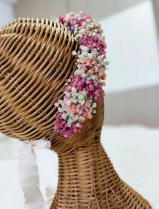 Corona paniculata preservada