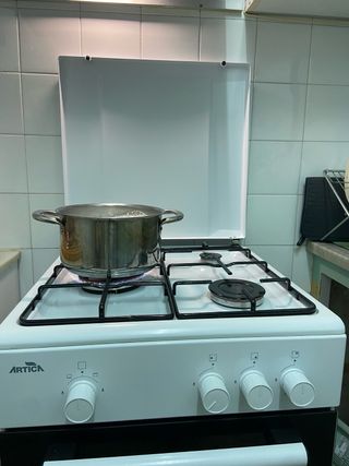 Cocina gas butano 3 fogones y horno