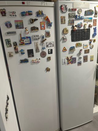 Nevera y Congelador Verticales