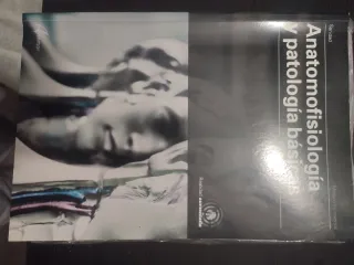 Digitalización aplicada a los sectores producti...