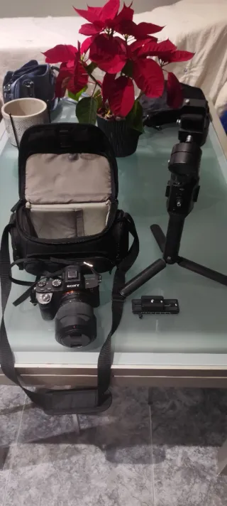 Sony Alpha 7ii + Gimbal Ronin SC