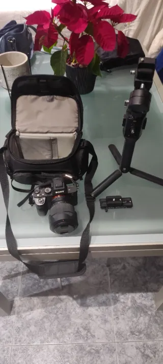 Sony Alpha 7ii + Gimbal Ronin SC