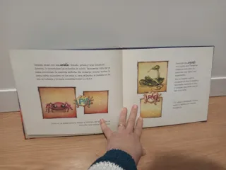 Libro infantil   La bruja Pampurrias un nido en el