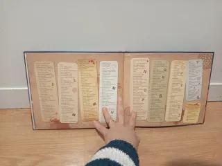 Libro infantil   La bruja Pampurrias un nido en el