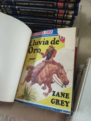 Lectura variada novelas bibliografias