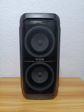Altavoz W-King T11 100W