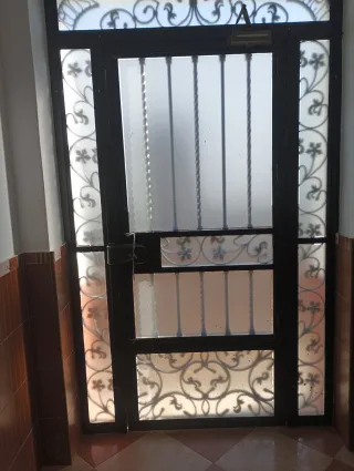 Reja de forja para puerta abatible 654 79 30 07