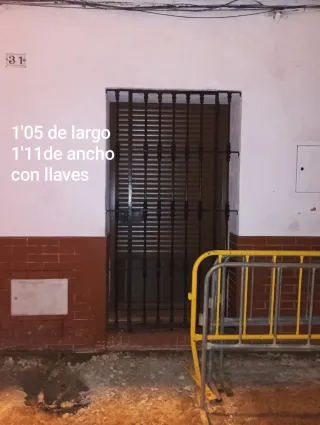 Reja de forja para puerta abatible 654 79 30 07