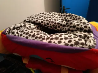 Coche de peluche y juguete Playgro