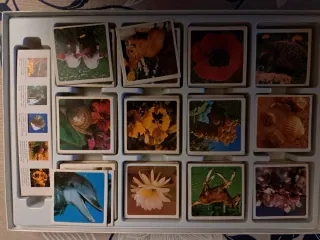 Juego de memoria Identic Natura