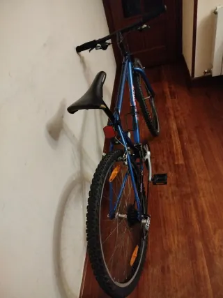 Bicicleta infantil azul