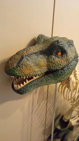 Statua Dinosauro T-Rex Scheletro