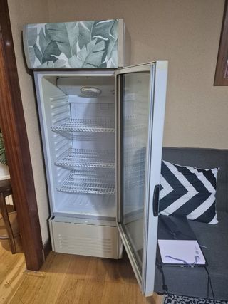 Frigorífico con puerta de cristal