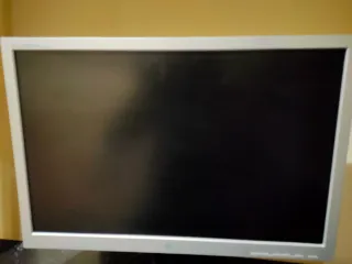 Monitor LG L222WS Plata/Negro