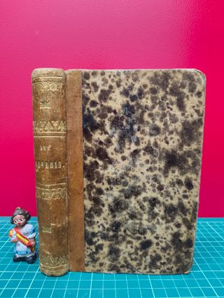 Ana Severin – Madame Craven