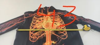 Disfraz Cuerpo Humano Nervios Talla Única
