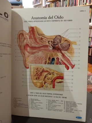 Atlas de anatomía