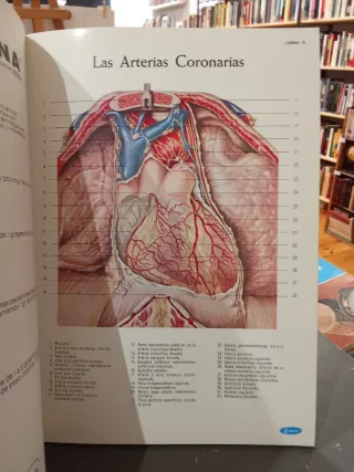 Atlas de anatomía