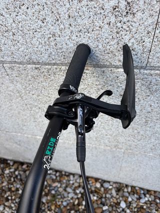 Pivot Firebird 2024 L