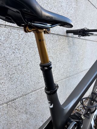 Pivot Firebird 2024 L