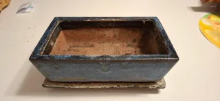Vaso per bonsai in terracotta