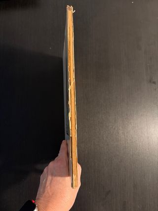 Asterix y los Normandos