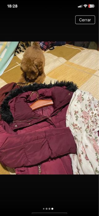 Chaquetón burdeos/granate con capucha