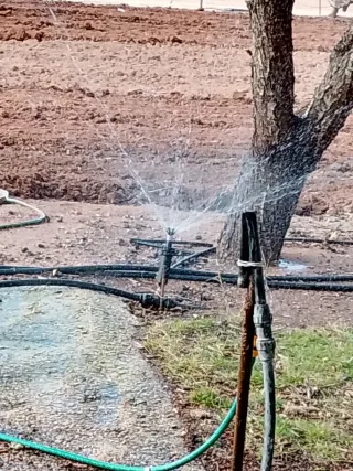 Aspersores ascendentes