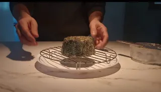 Taller de Quesos Veganos Fermentados: Acompañad@