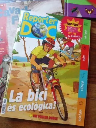 Llibres de lectura per infantil