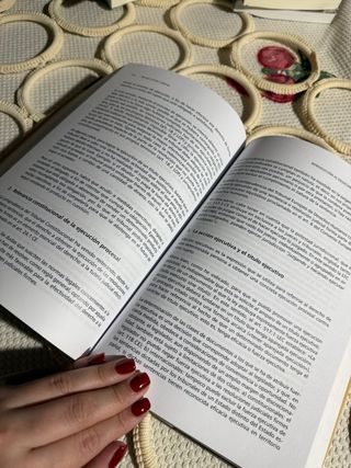 Introducción al enjuiciamiento civil