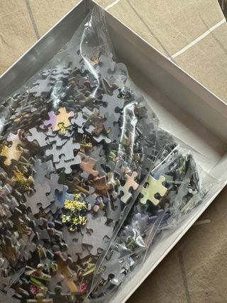 Puzzle Jumbo 1000 Piezas Summer Wolf Family