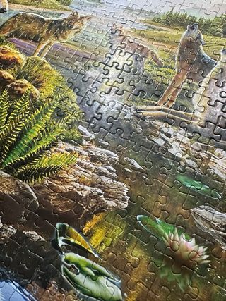 Puzzle Jumbo 1000 Piezas Summer Wolf Family