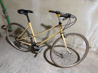 Bicicleta paseo