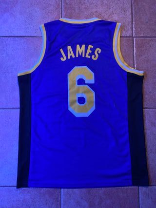 LeBron James Los Angeles Lakers Jersey