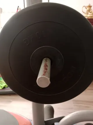 Banco con pesas y barras