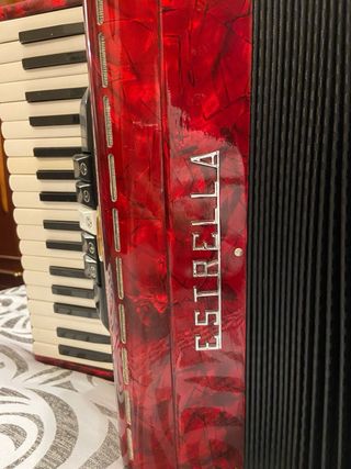 Acordeón Estrella 60 bajos